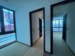 Palm Grove Avenue (D19), Terrace #497829801